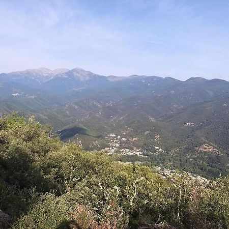 Rez De Jardin Cosy Avec Terrasse Fleurie Διαμέρισμα Arles-sur-Tech Εξωτερικό φωτογραφία